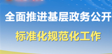 全面推进基层政务公开标准化规范化工作